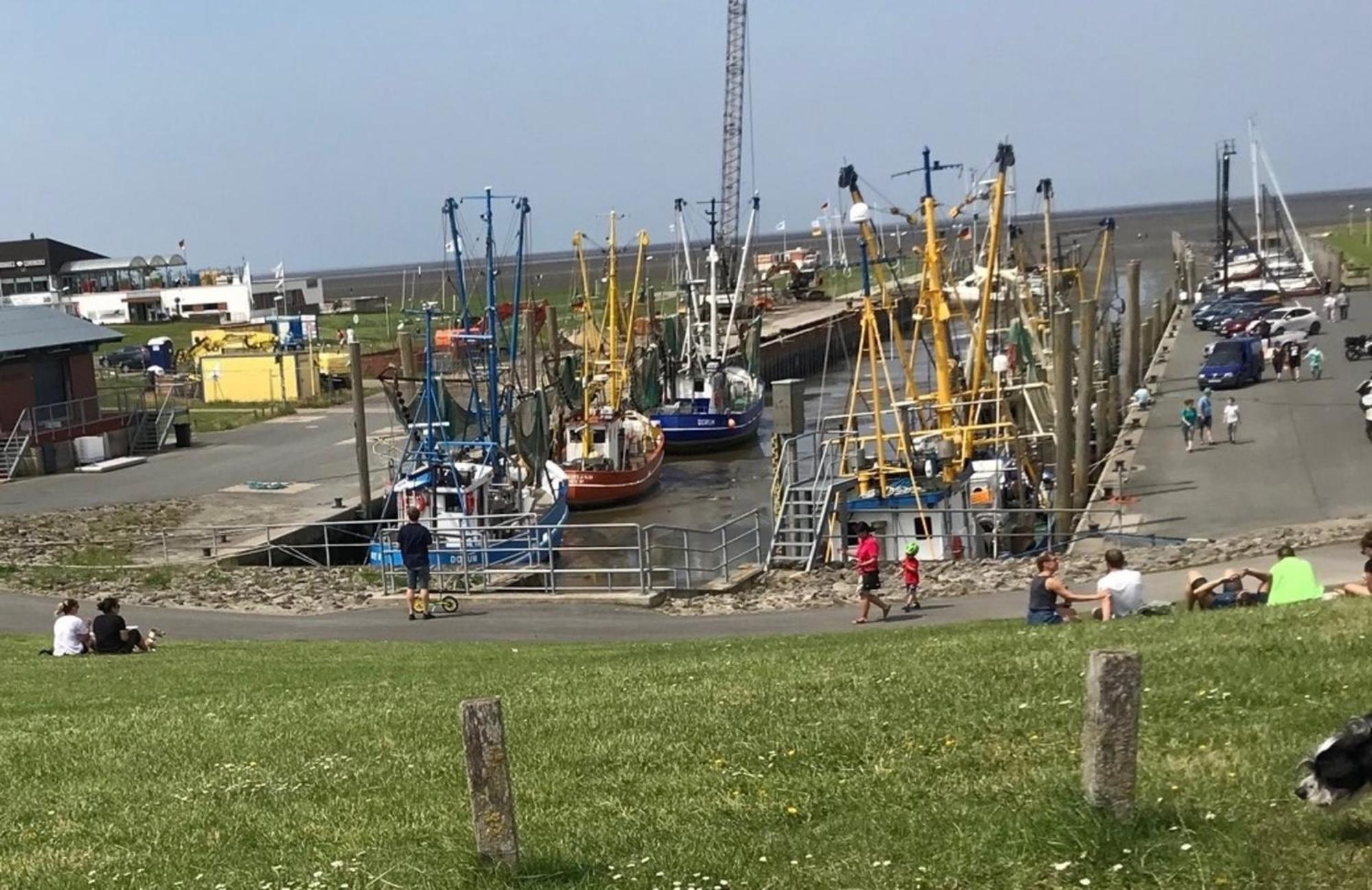 Ferienhaus Helder Dorumer Neufeld Exteriör bild
